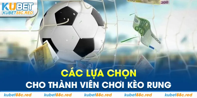 Các lựa chọn cho thành viên chơi kèo rung