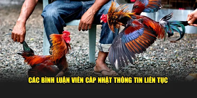 Các bình luận viên cập nhật thông tin liên tục 