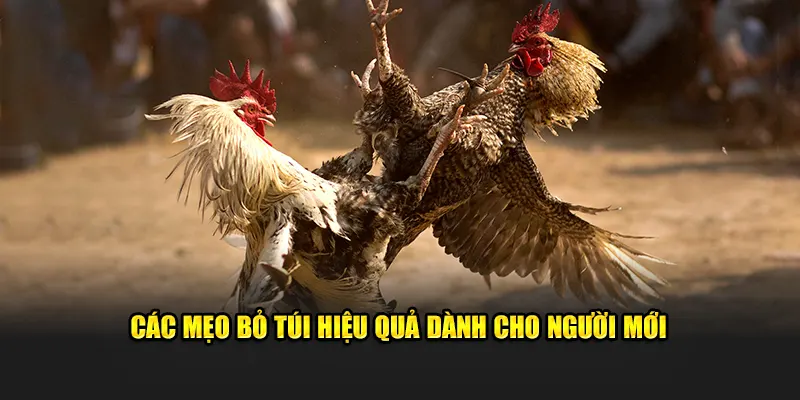 Những mẹo hay dành cho người mới tham gia