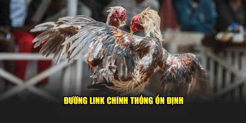 Đường link chính thống ổn định