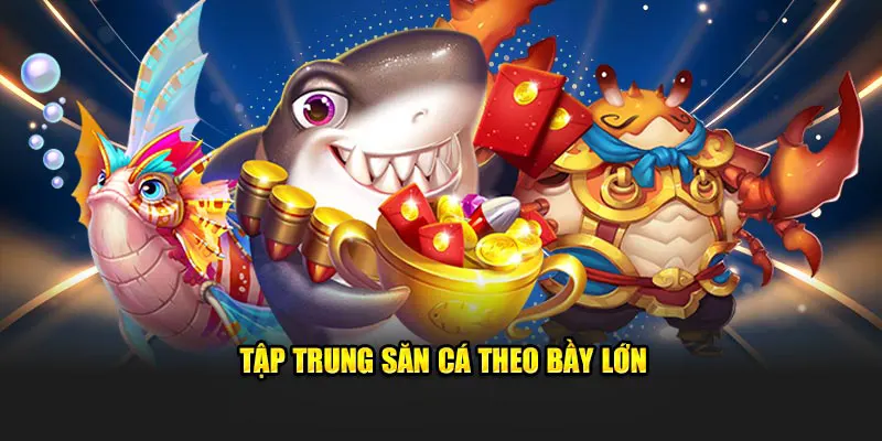 Tập trung săn cá theo bầy lớn